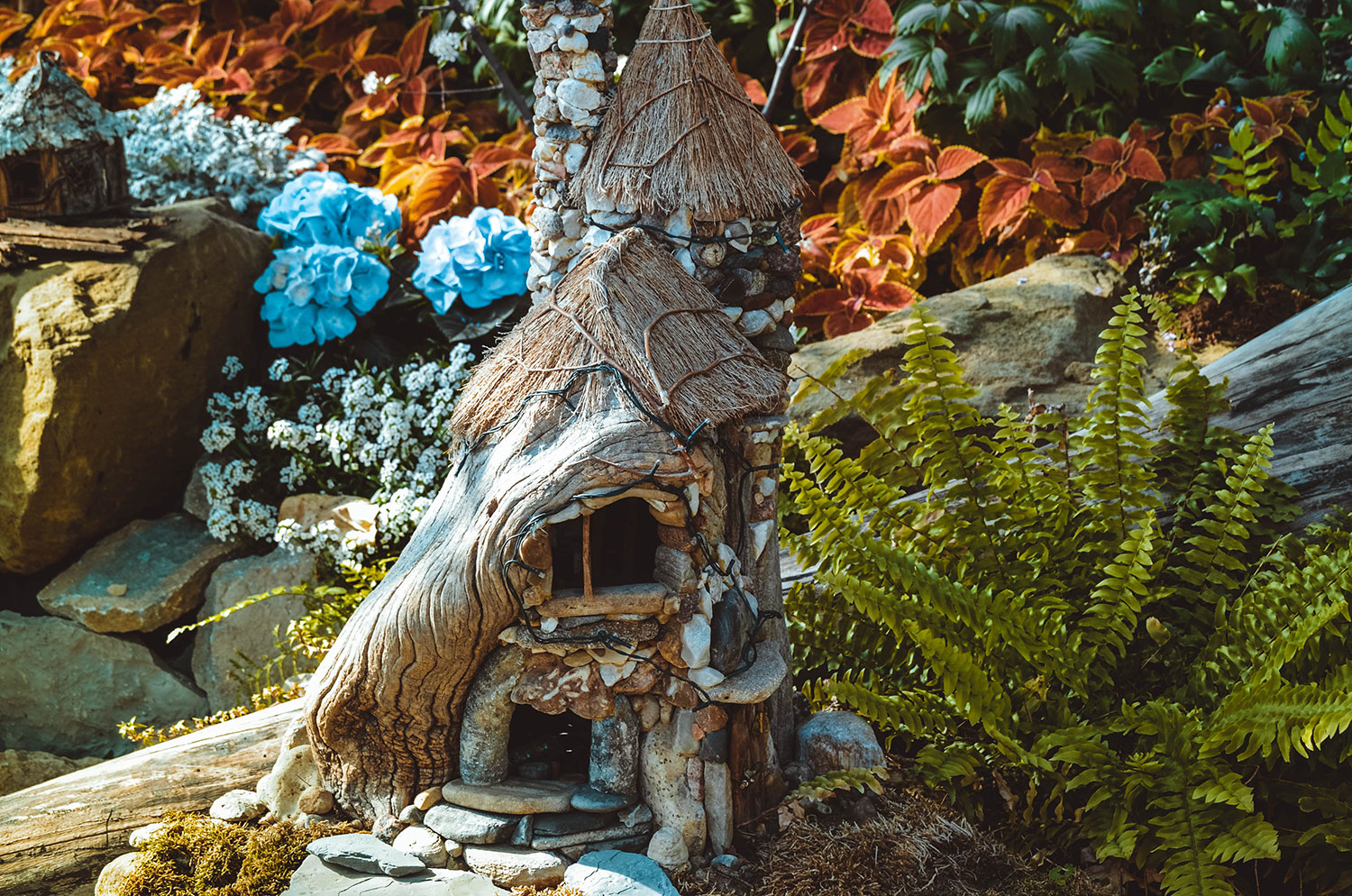 Create A Magical Garden