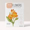Draw 100: Flowers: From Basic Shapes to Amazing Drawings in Super-Easy Steps - Draw 100 - Janet Whittle Penny Brown