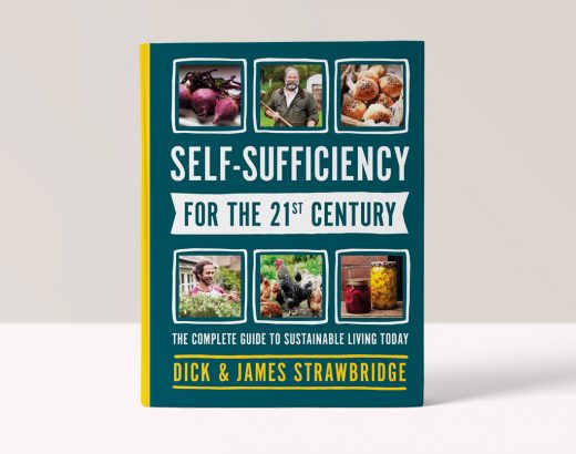 Practical Self-Sufficiency - The Complete Guide to Sustainable Living Today -  Dick Strawbridge and James Strawbridge