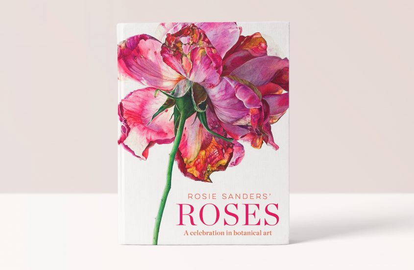 ROSIE SANDERS’ – ROSES – A CELEBRATION IN BOTANICAL ART