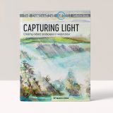 The Innovative Artist: Capturing Light  - Catherine Beale 