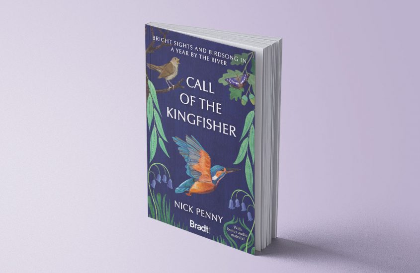 Call of the Kingfisher by Nick Penny