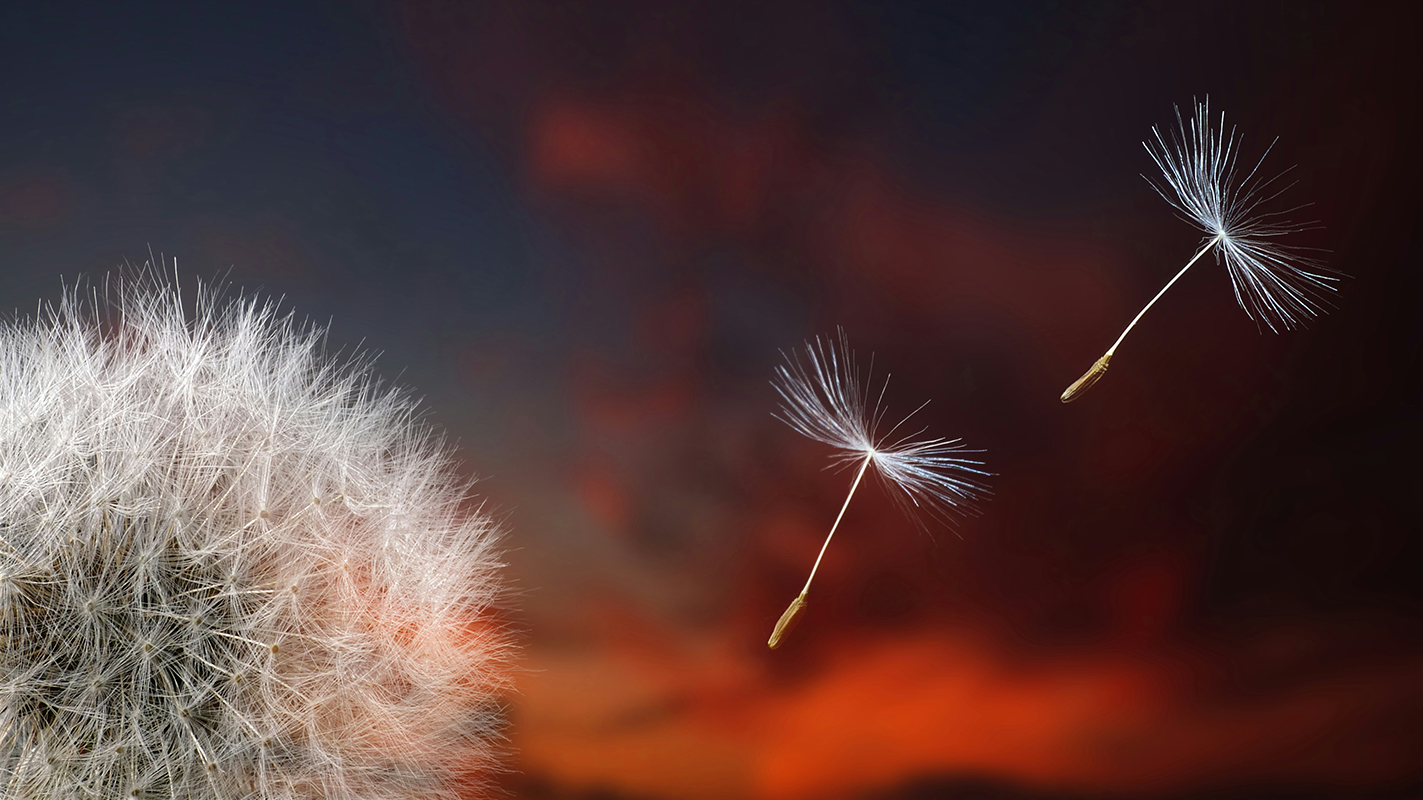 How to develop a love of learning